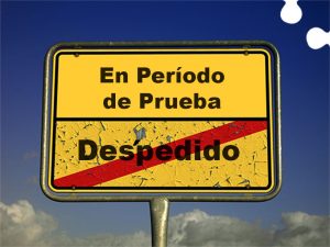 periodo prueba paro